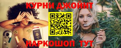крисы Коммунар
