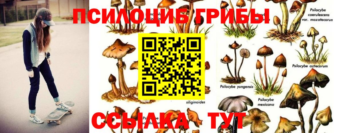 Галлюциногенные грибы Cubensis Чистополь